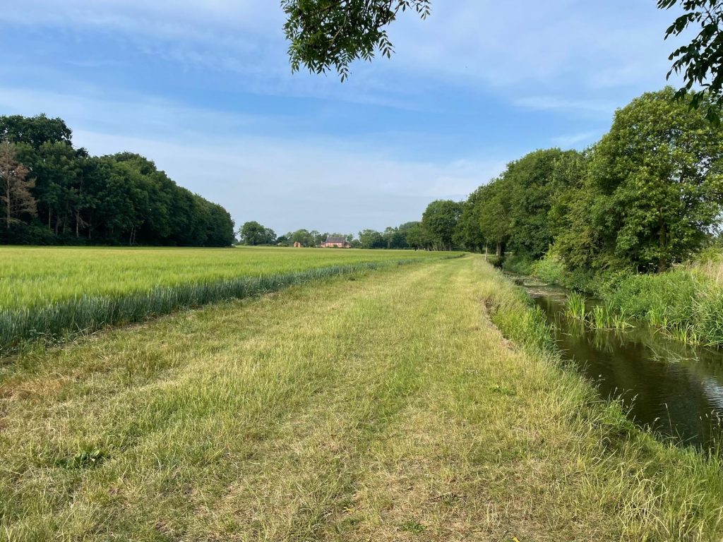 why-slow-living-is-the-best-decision-I-ever-made-moments-like-these