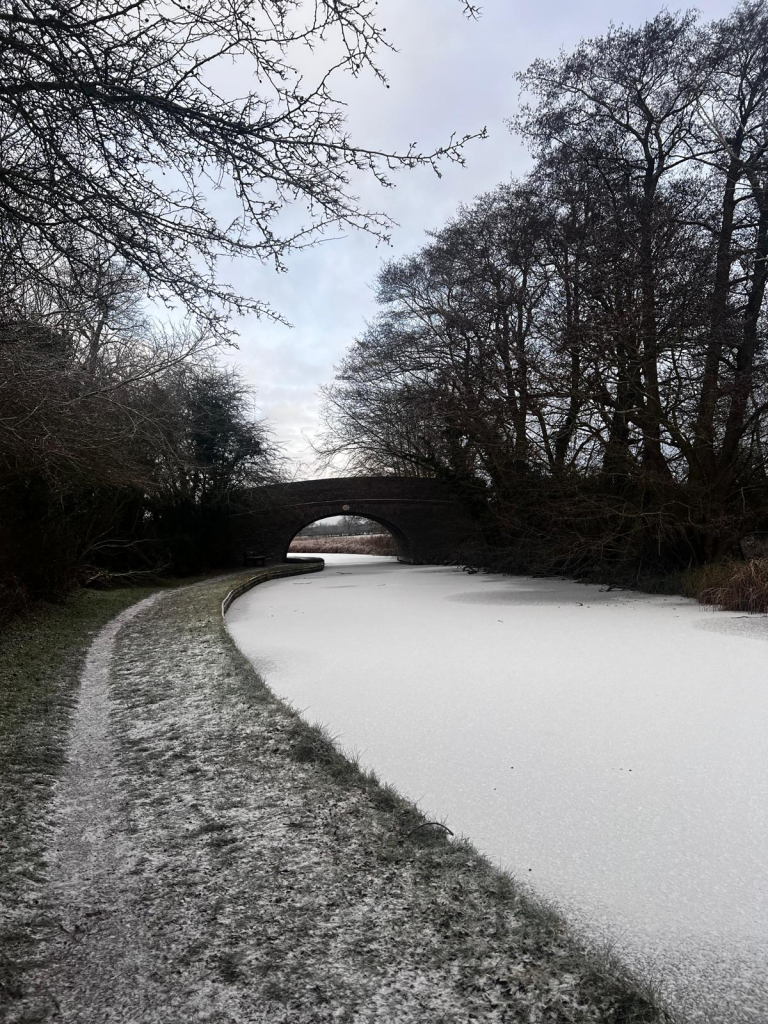 finding-quiet-in-a-noisy -life